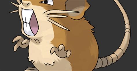 Raticate Pokédex: stats, moves, evolution & locations.
